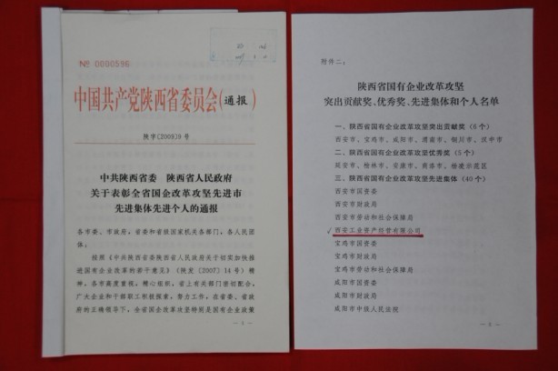 2009年2月，被陜西省委、省政府授予陜西省國有企業(yè)改革攻堅先進(jìn)集體